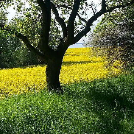 Gaestehaus Schmidt דירה *