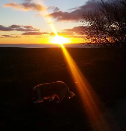 Gaestehaus Schmidt * בולטנהאגן