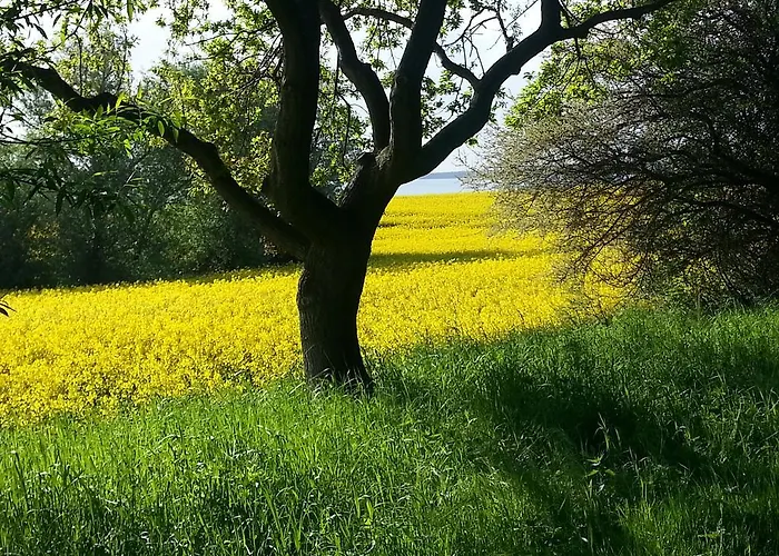 Gaestehaus Schmidt 公寓 *