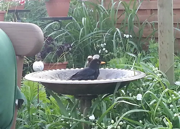 Gaestehaus Schmidt * 博尔滕哈根