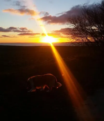 Gaestehaus Schmidt * Boltenhagen (Ostseebad)