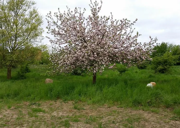Gaestehaus Schmidt * Boltenhagen (Ostseebad)